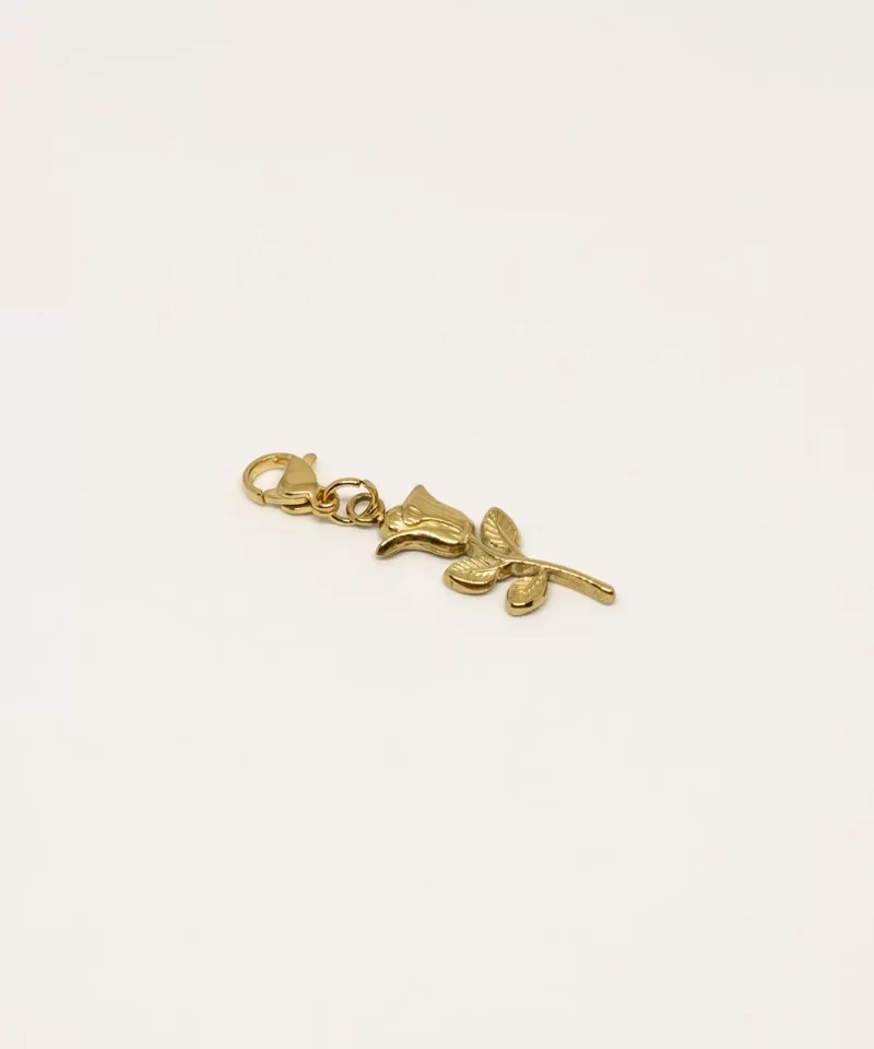 clip rose acier inoxydable rosalia